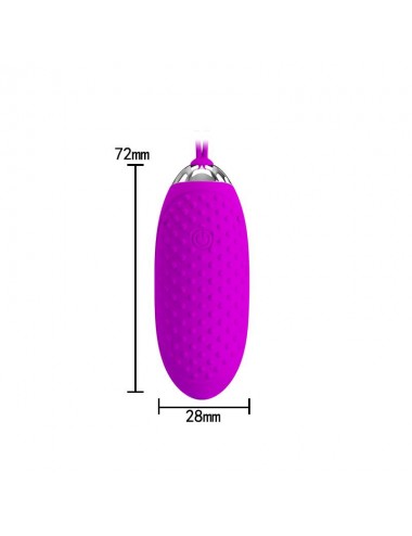 Huevo Vibrador Joanna USB Purpura