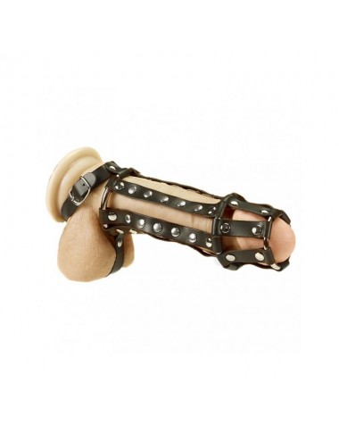 Arnes Completo para Pene y Testiculos