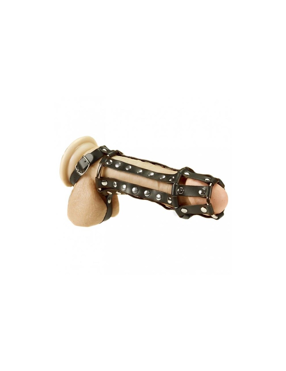 Arnes Completo para Pene y Testiculos