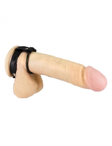 Anillo de Goma para Pene y Testiculos