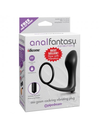 Plug Anal con Vibracion Negro